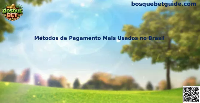Métodos de Pagamento Mais Usados no Brasil